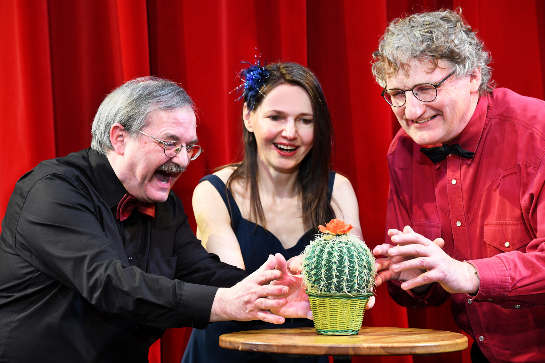 Kabarett Kaktusblüte