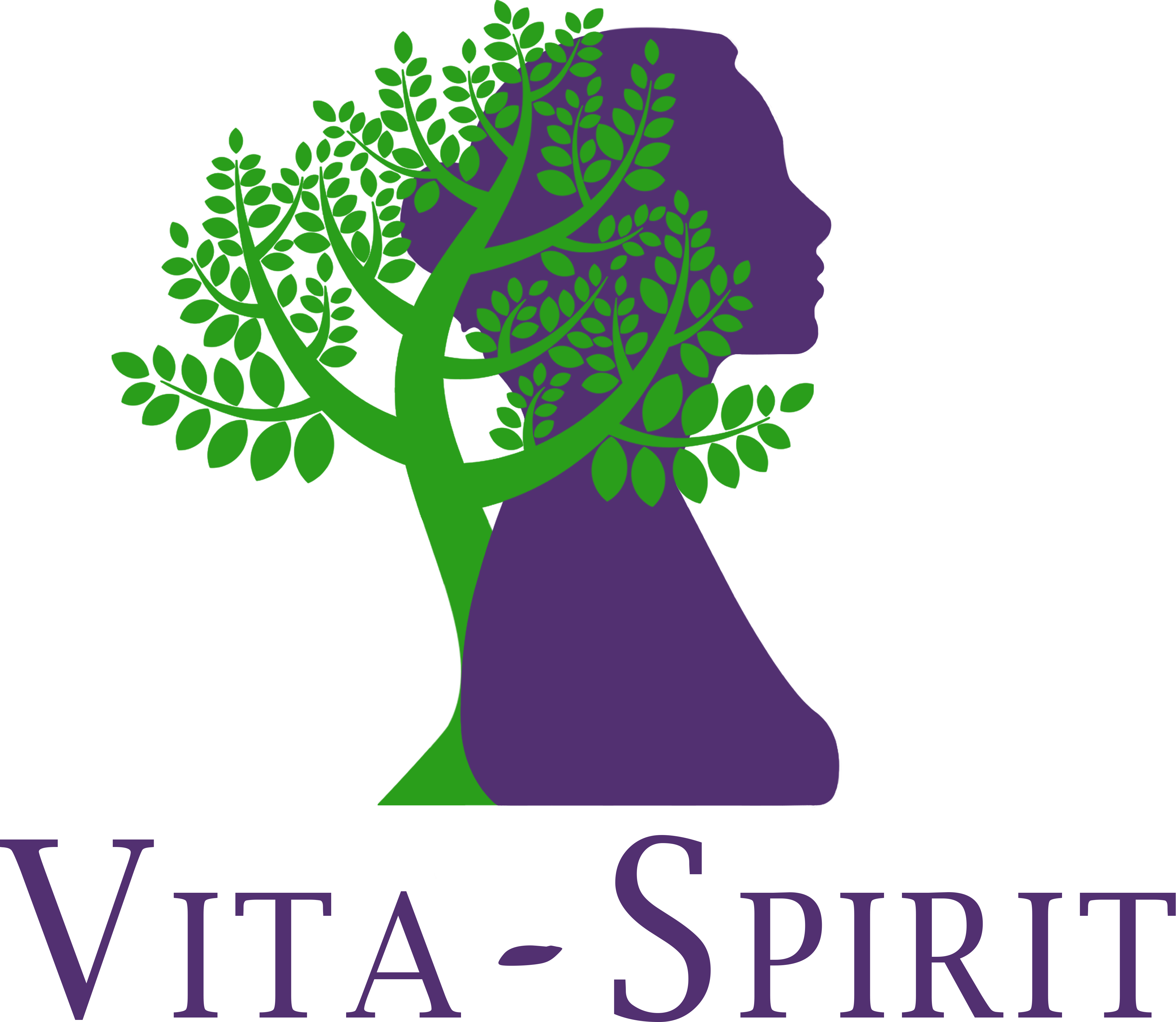 Logo Vita Spirit